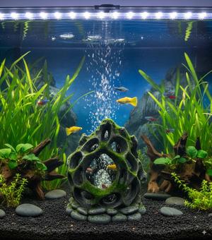 Rock Sculpture — Aquarium Series — #5