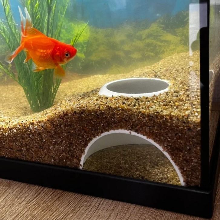 Fish tank underground hiding cave