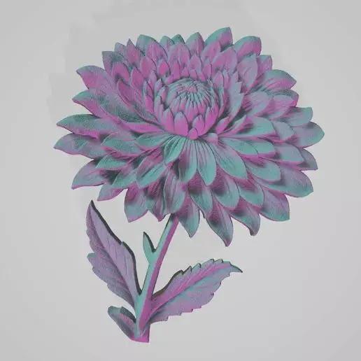 Chrysanthemum flower-Relief