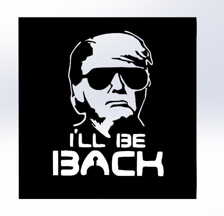 Donald Trump 'I'll Be Back': Bold Line Art Portrait