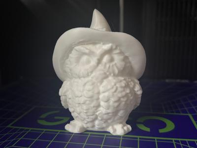 little cute owl with hat