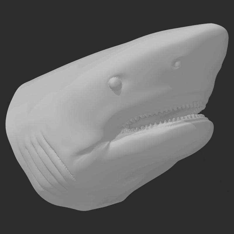 Shark Head Bust Wall Art