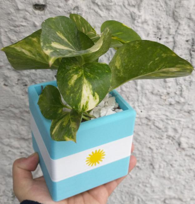 Maceta Argentina