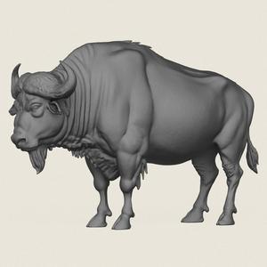 Wild Buffalo Print Ready 3D Model