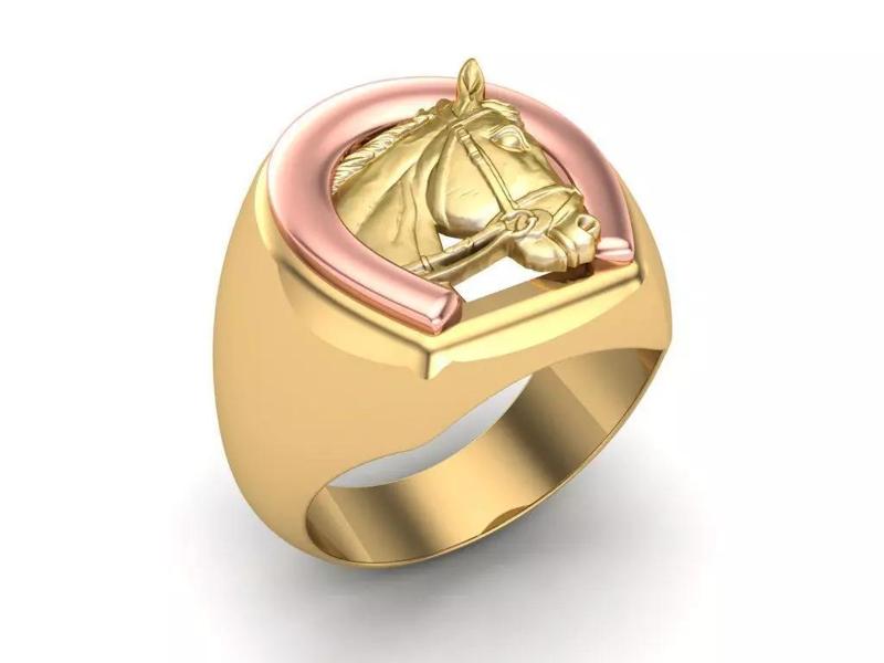 Horse Ring