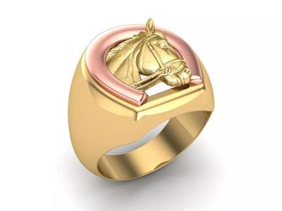 Horse Ring