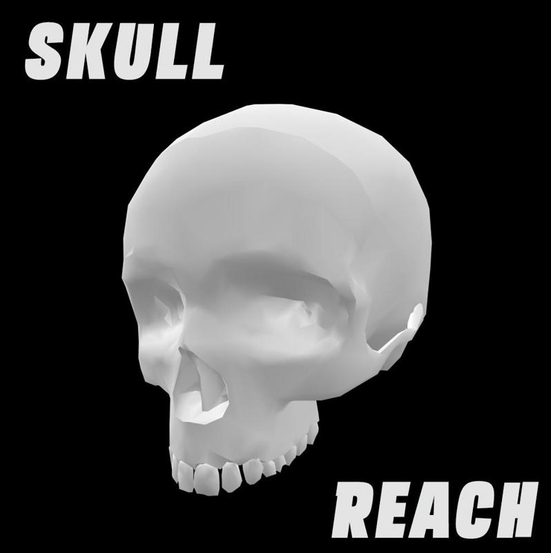 Halo Reach Skull!