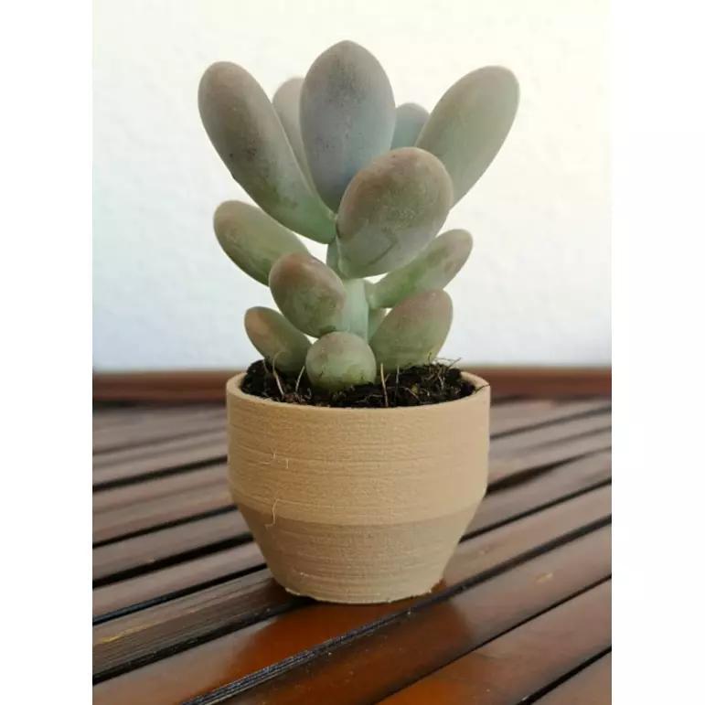 Landy vase - Basic 6