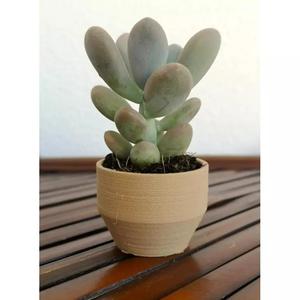 Landy vase - Basic 6