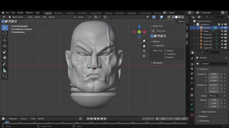 Another scars head with some scars
