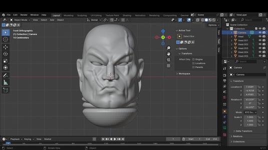 Another scars head with some scars