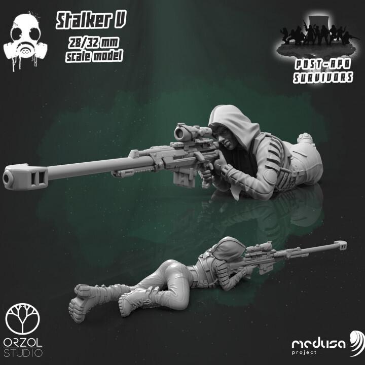 Post-Apo Survivors - Stalker V