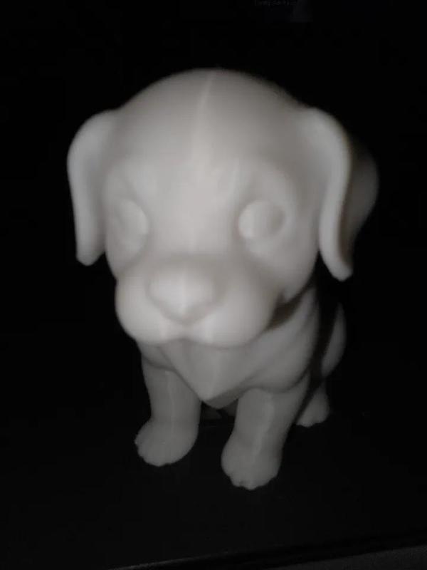 Dog Cute Model revised   