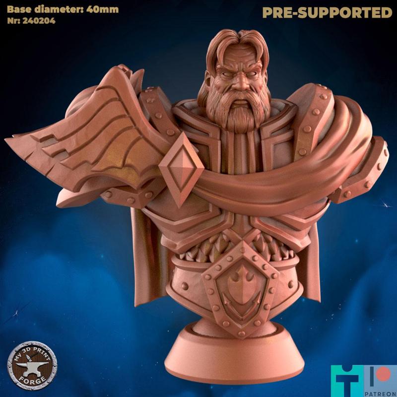 Lightbringer Paladin BUST