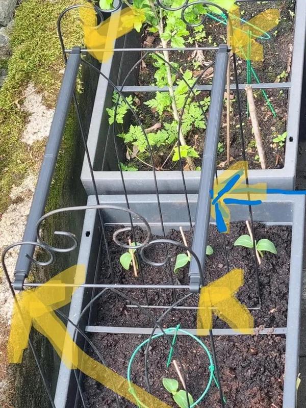 Verbinder für Pflanzgitter (modular)   