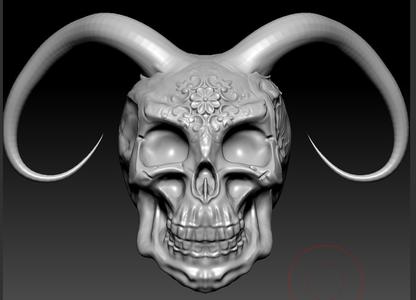 Skull