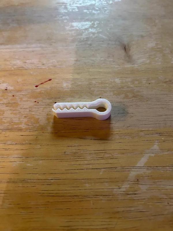 chip clip   