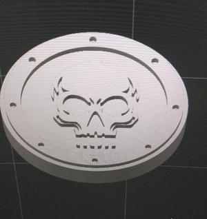 skull coin