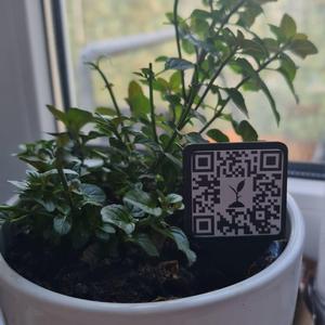 QR - Plant Label
