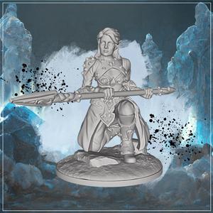 Heavy Armor Female Elf 3