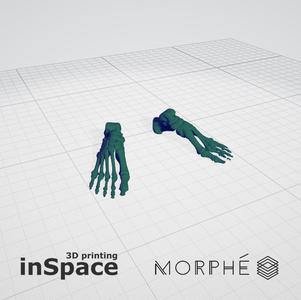 Medical - Feet (solid) - Real size