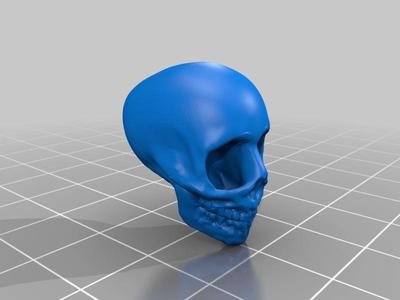 skull game anatomically inaccurate skull model