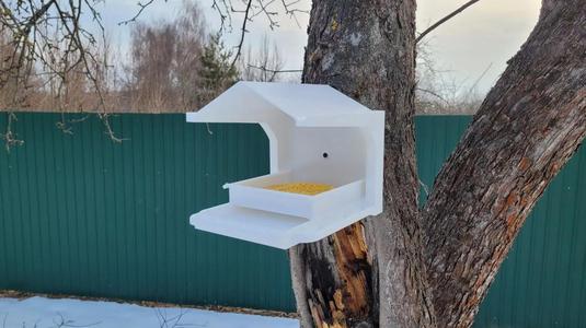 Bird feeder with bath   
