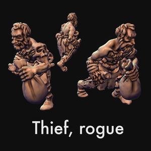 Thief, fighter, rogue