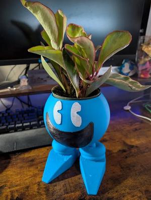 Planter Boy   