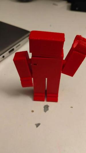 Boy action figure   