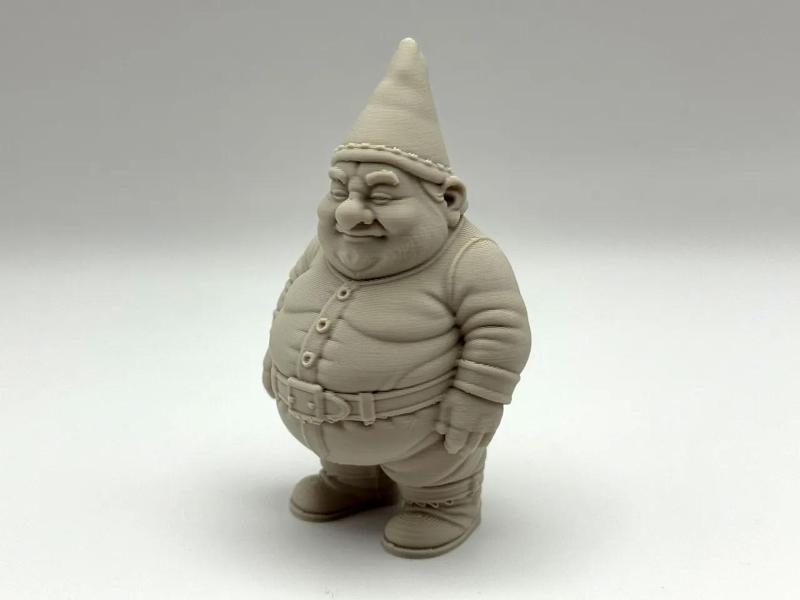 The Chonk Gnome   