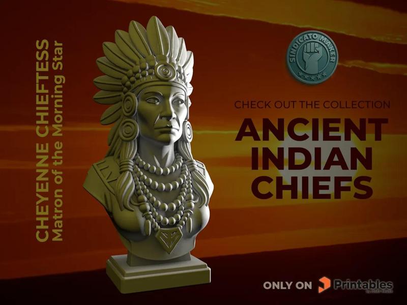 Cheyenne chieftess - Matron of the Morning Star   