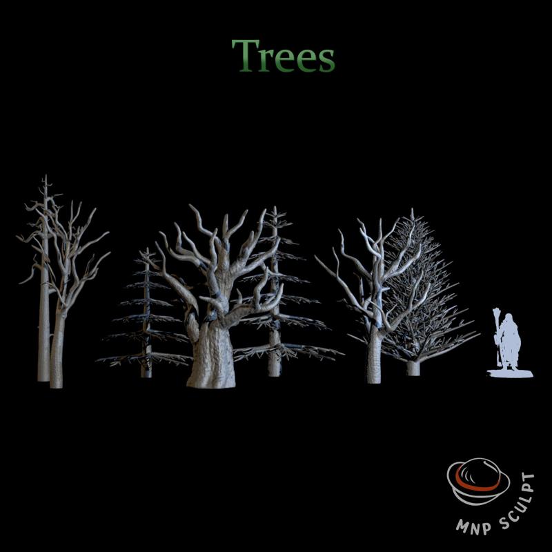 Trees Part 1