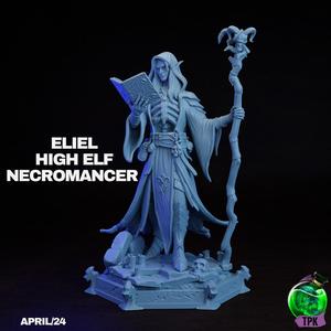 Eliel High Elf Necromancer