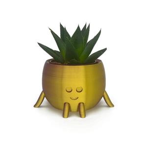 Happy flower pot   