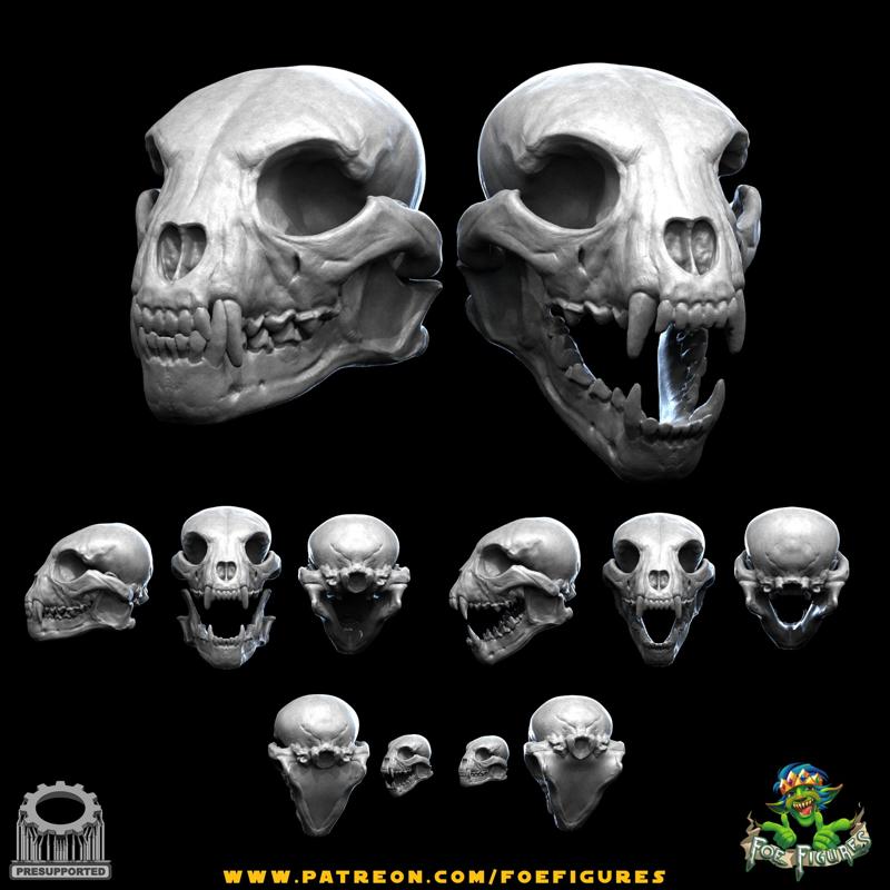 Realistic Catfolk Tibaxi Skull