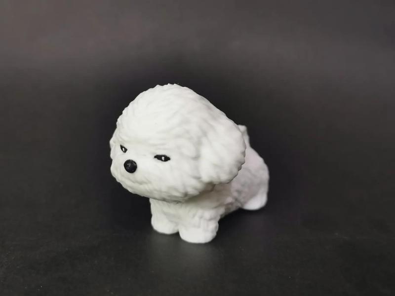 Adorable mischievous Bichon Frise mini puppy