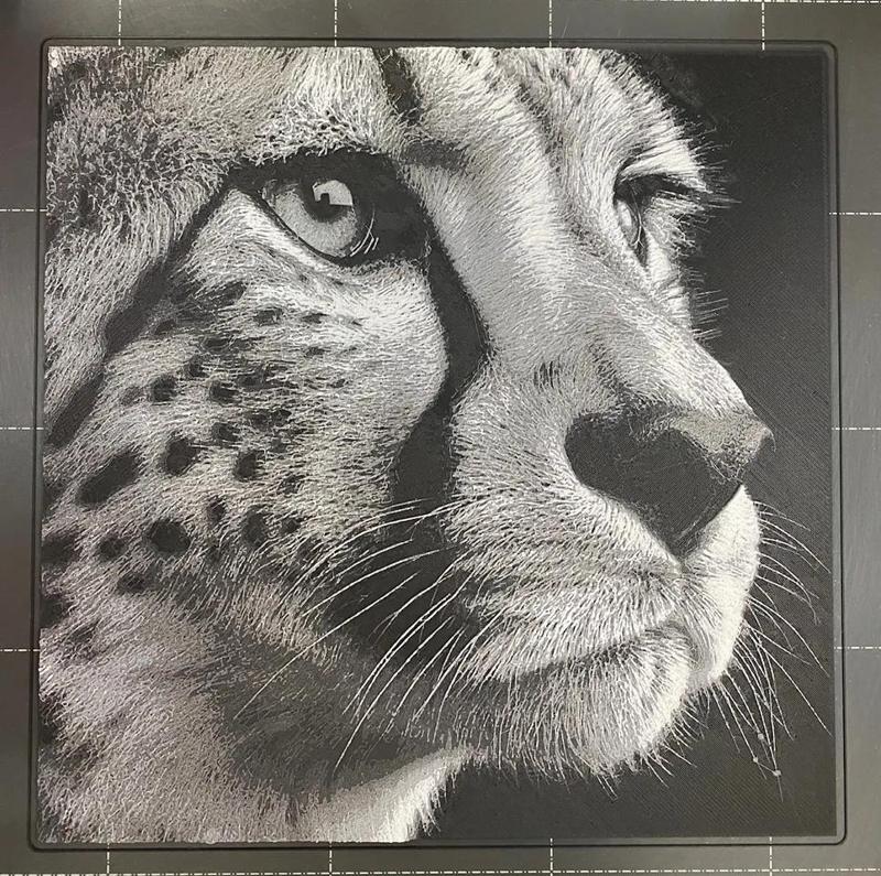 Cheetah Portrait - Hueforge   