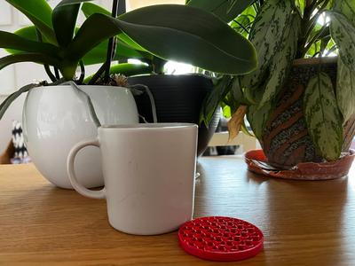 Infill Coasters