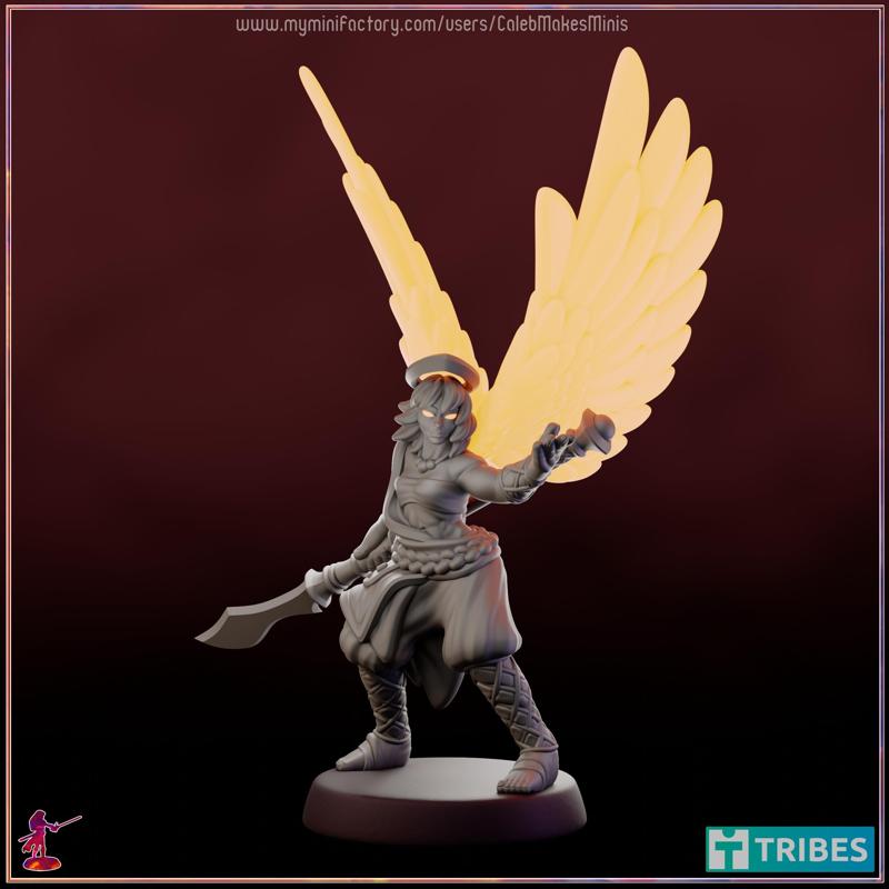  Marion Goldnight  - Aasimar Monk (Warrior of Mercy) [PRE-SUPPORTED] | Warriors Series 