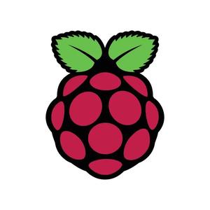 RaspberryPi   