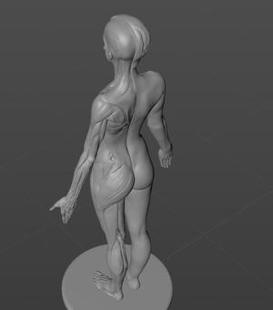 Artistic texture lady showing 3D digital model