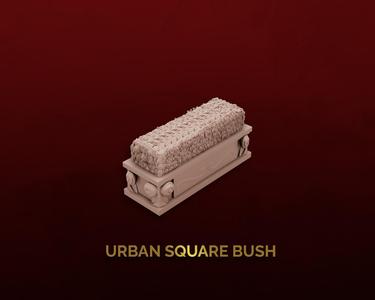 Urban Square Bush
