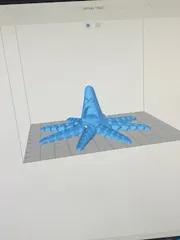 the famous octopus family   