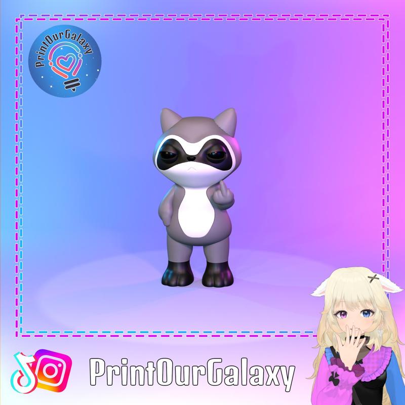 Racoon Middle Finger