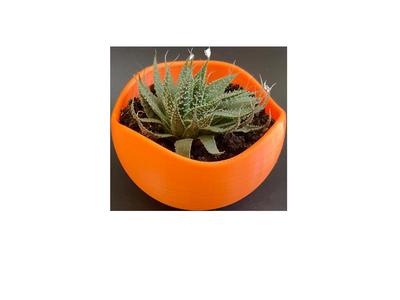 Flowerpot MaZ07