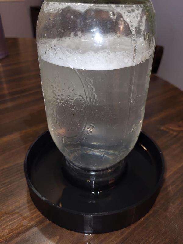 Mason Jar Chick Water Dish