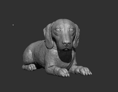 Dachshund Dog Resting - Dachshund in Relaxed Position