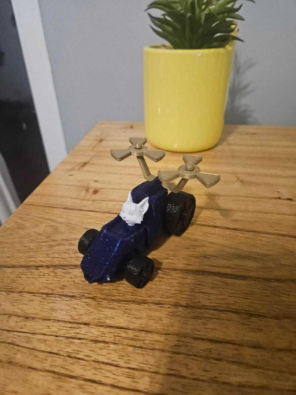 SWEETIE PAW PATROL CAR