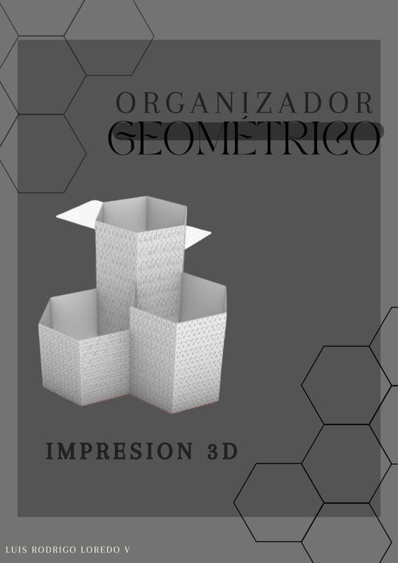 GEOMETRIC ORGANIZER